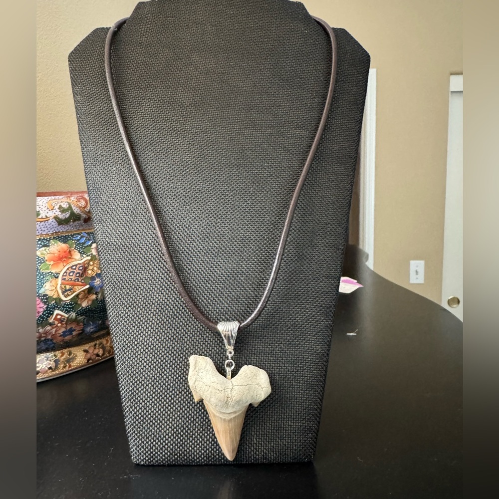 Authentic Shark Tooth Pendant Necklace on Brown Leather Cord - Picture 3 of 6